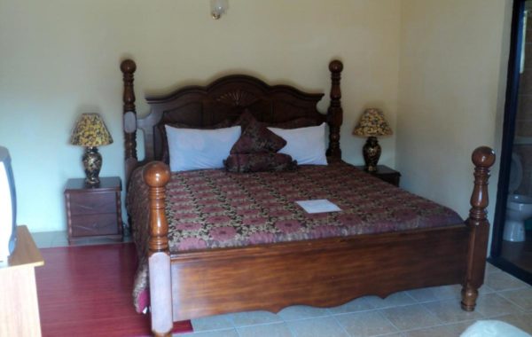 Room, with King Bed